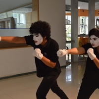 Mime Act